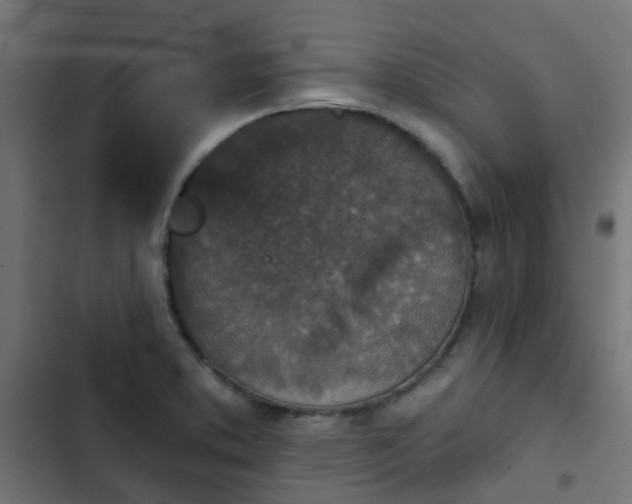 X0000103951373200809261738