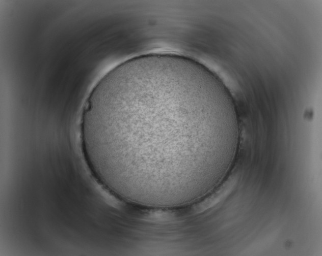 X0000103951375200809261738