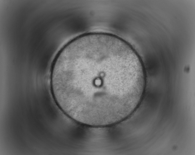 X0000103951376200809261738