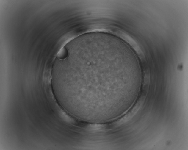 X0000103951377200809261738