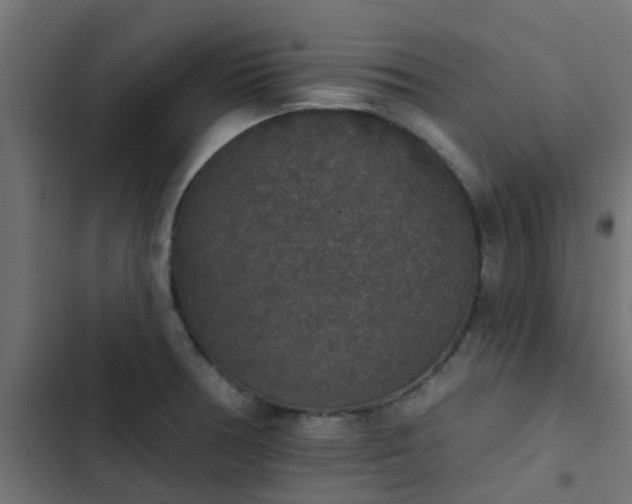 X0000103951378200809261738