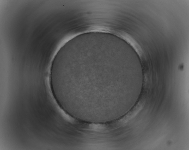 X0000103951379200809261738