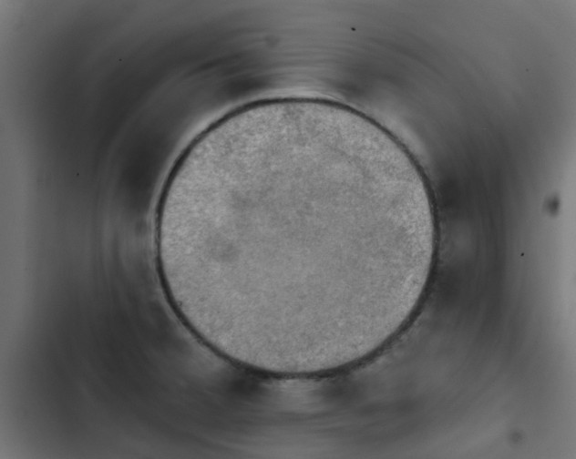X0000103951380200809261738