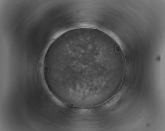 X0000103951381200809261738