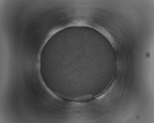 X0000103951382200809261738