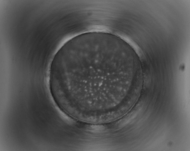 X0000103951383200809261738