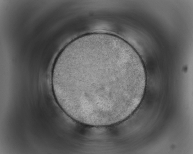 X0000103951384200809261738