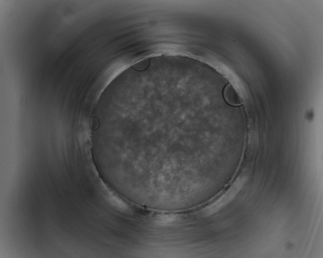 X0000103951385200809261738