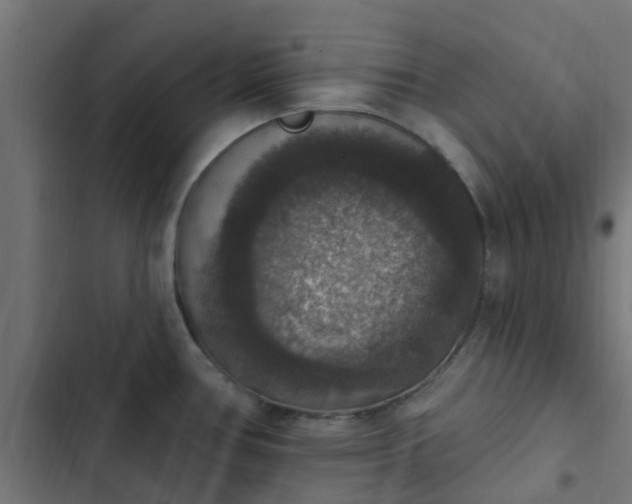 X0000103951386200809261738