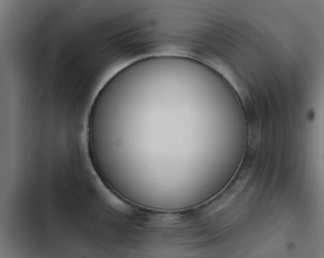 X0000103951387200809261738