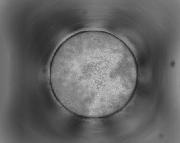 X0000103951388200809261738