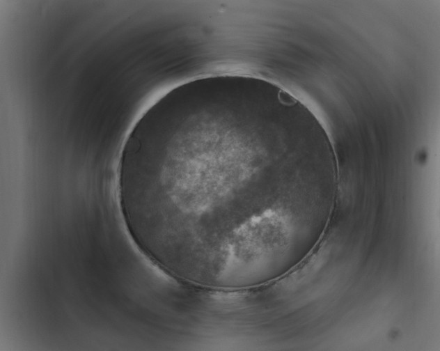 X0000103951389200809261738