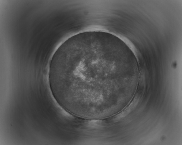 X0000103951390200809261738