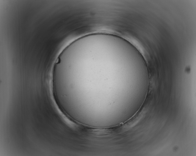 X0000103951391200809261738