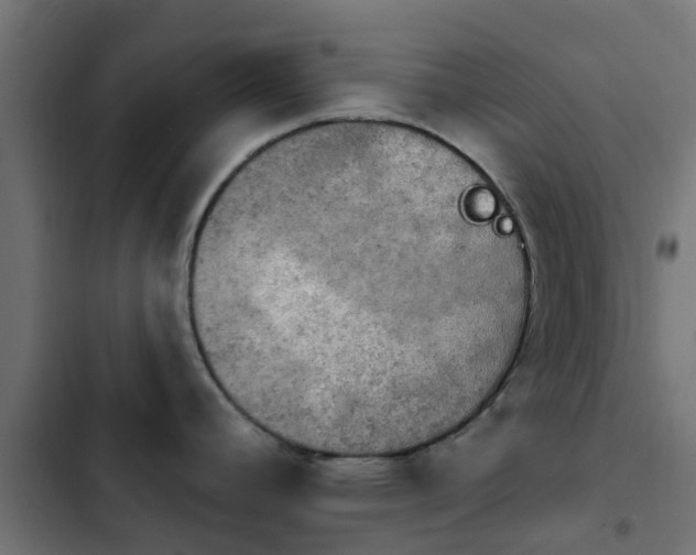 X0000103951392200809261738