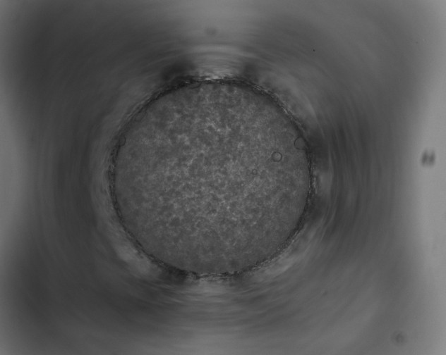 X0000103951393200809261737