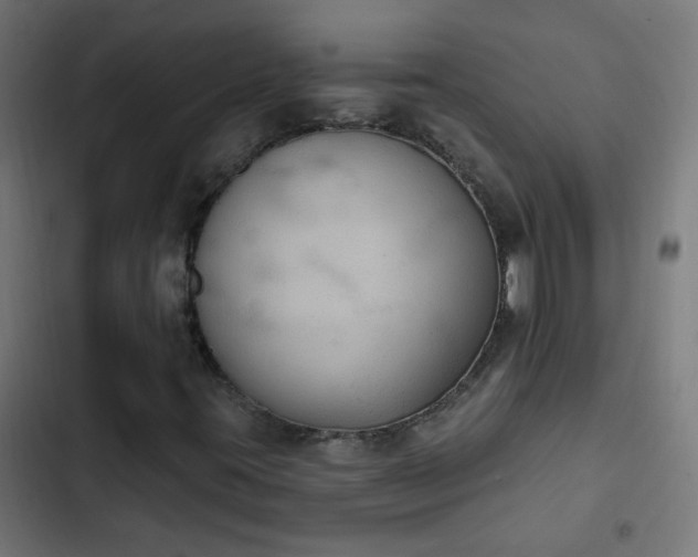 X0000103951395200809261737