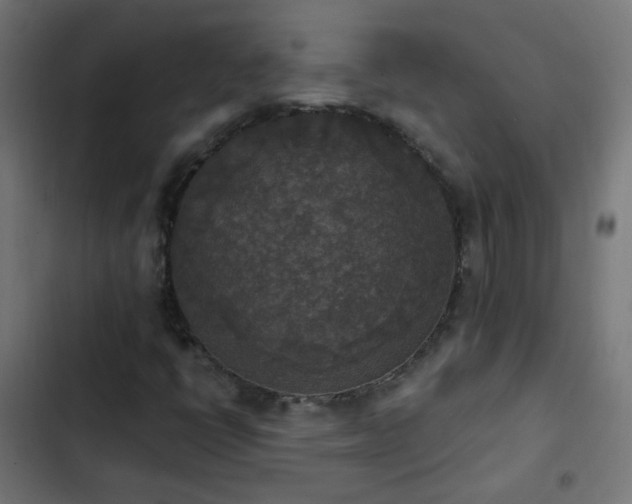 X0000103951398200809261737