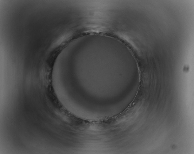 X0000103951399200809261737