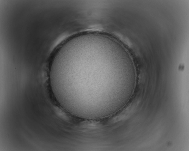 X0000103951400200809261737