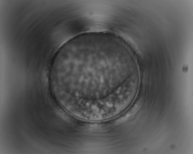 X0000103951401200809261737