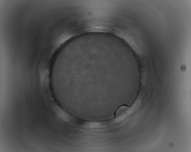 X0000103951402200809261737