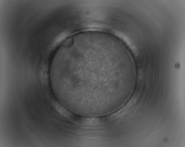 X0000103951403200809261737