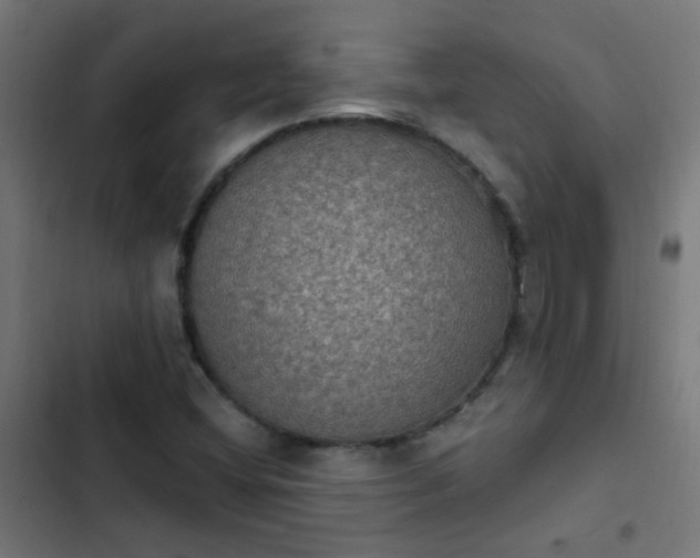 X0000103951404200809261737