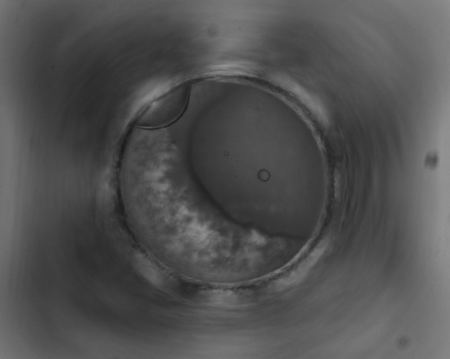 X0000103951405200809261737