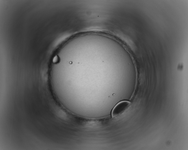X0000103951406200809261737