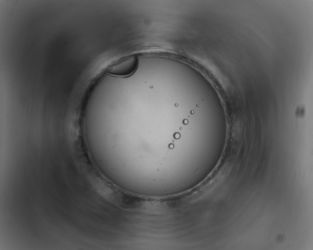 X0000103951407200809261737