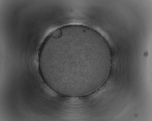X0000103951408200809261737