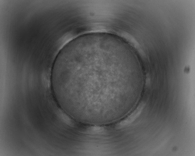 X0000103951409200809261737