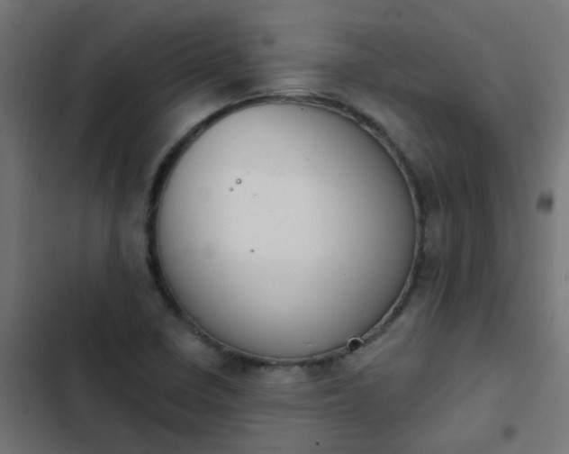 X0000103951410200809261737