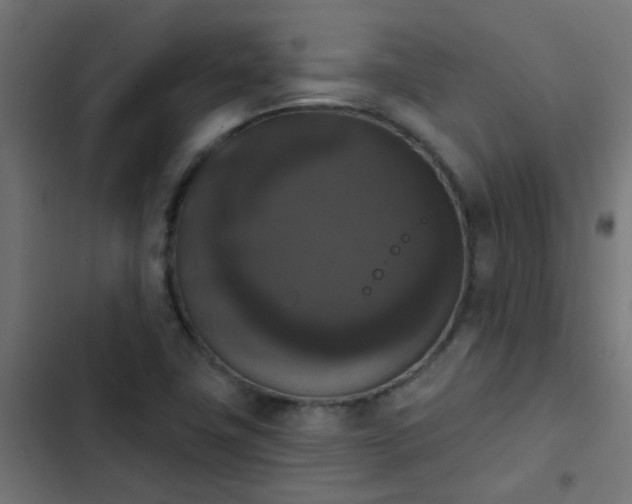 X0000103951411200809261737