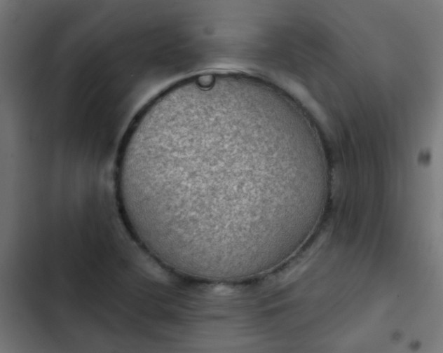 X0000103951412200809261737