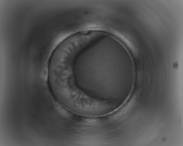 X0000103951413200809261737
