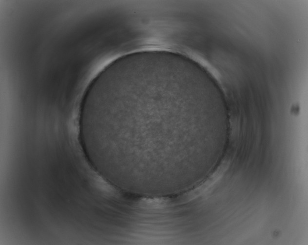 X0000103951415200809261737