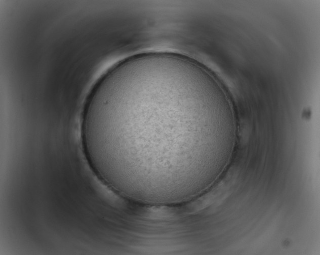 X0000103951416200809261737
