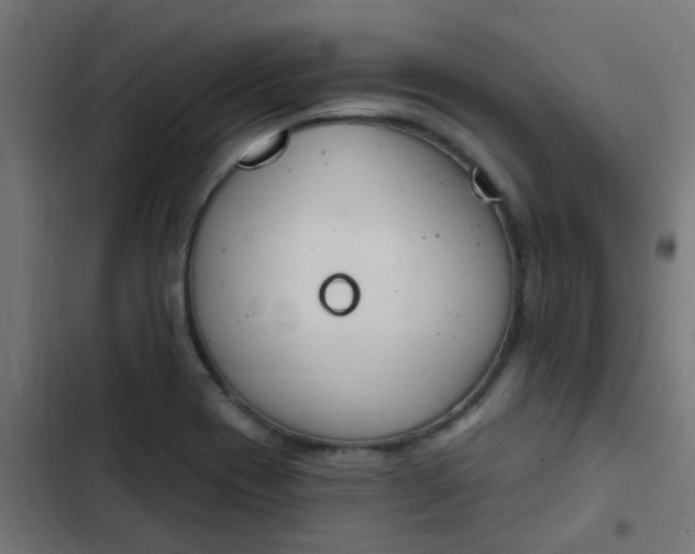 X0000103951417200809261737