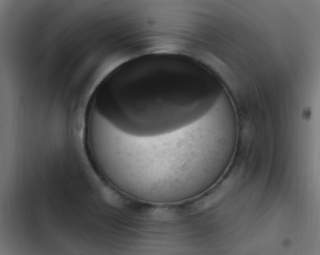 X0000103951418200809261737