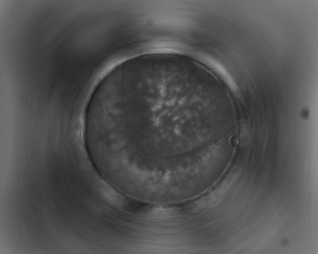 X0000103951419200809261737