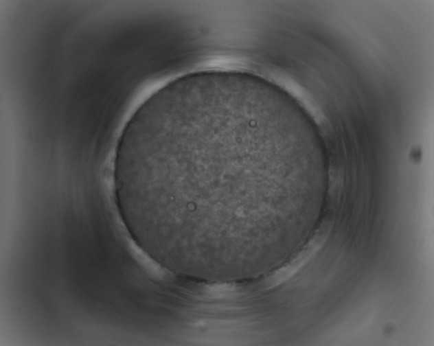 X0000103951421200809261738