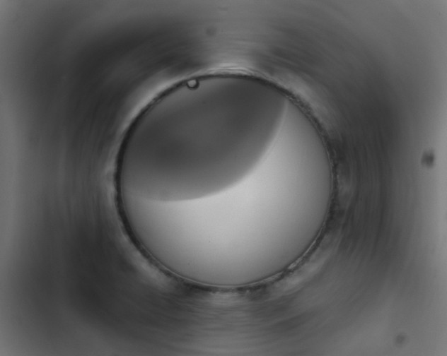 X0000103951422200809261738