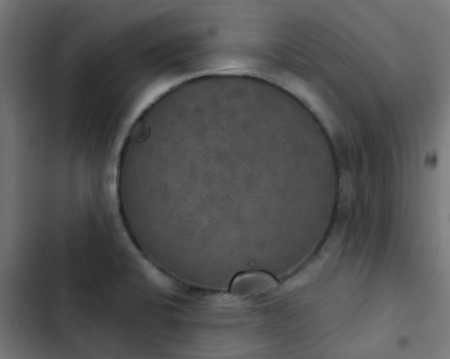 X0000103951424200809261738