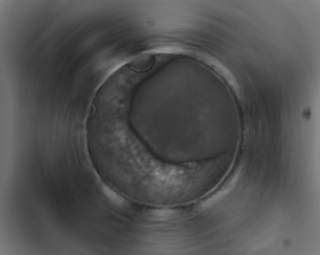 X0000103951425200809261738