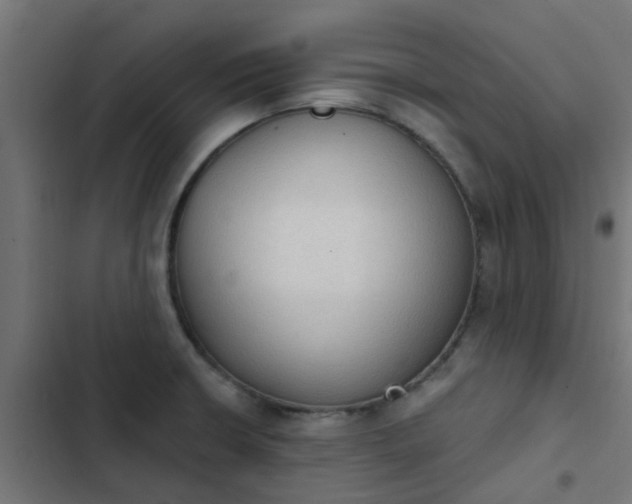 X0000103951426200809261738