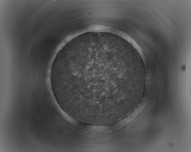 X0000103951429200809261738