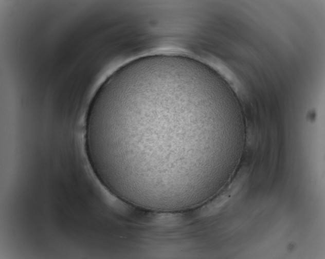 X0000103951430200809261738