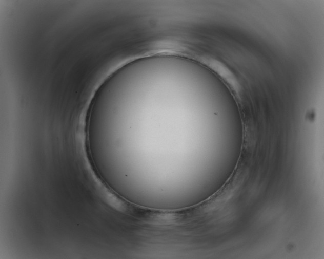 X0000103951431200809261738